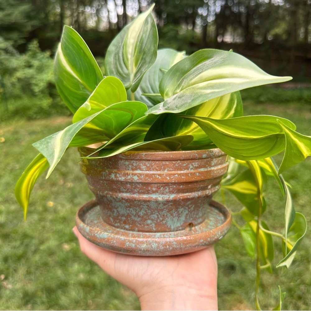 Wheel-thrown small planter pot w/ catch basin - brown and blue